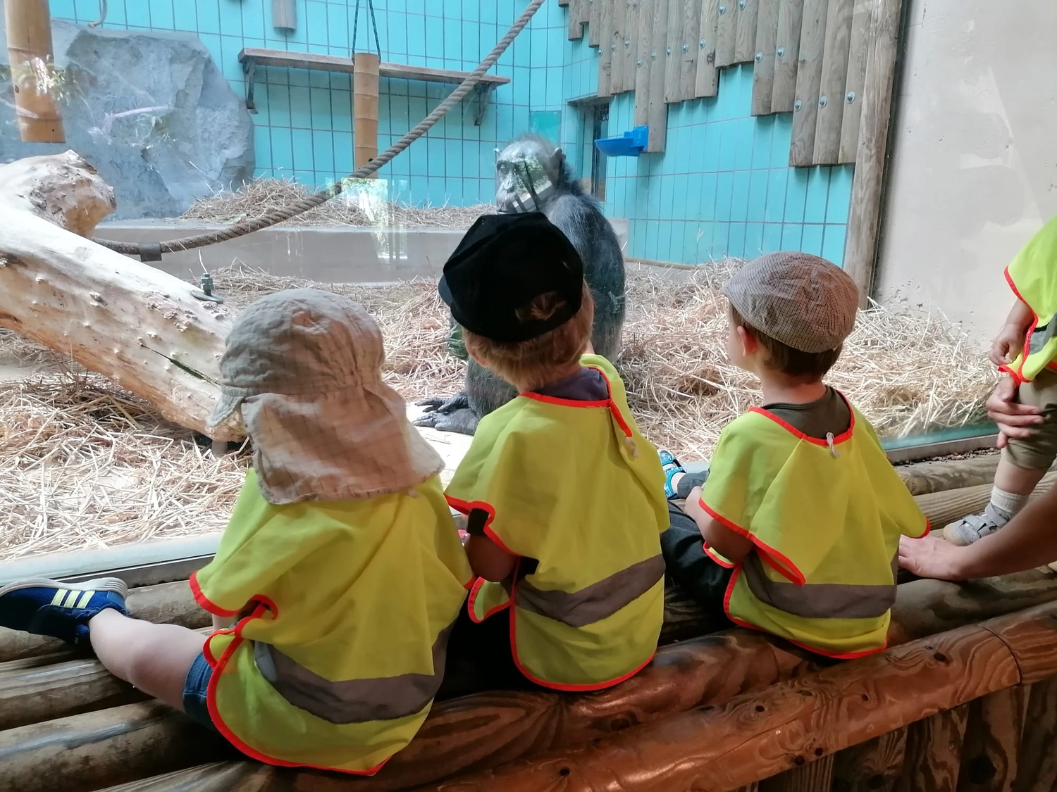 Tagesmutter, Tagesmutter Landauer Wichtelkiste, Kinderbetreuung, Betreuung, Kita, Babysitter, Kindertagespflege, Kleinkindbetreung, Landau