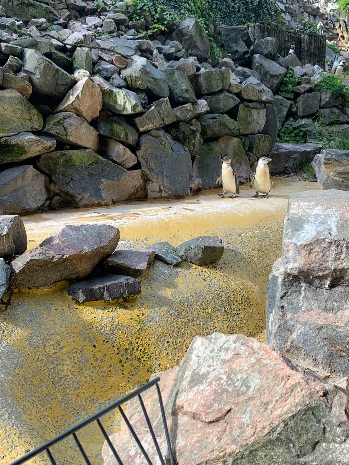 Tagesmutter, Tagesmutter Landauer Wichtelkiste, Kinderbetreuung, Betreuung, Kita, Babysitter, Kindertagespflege, Kleinkindbetreung, Landau