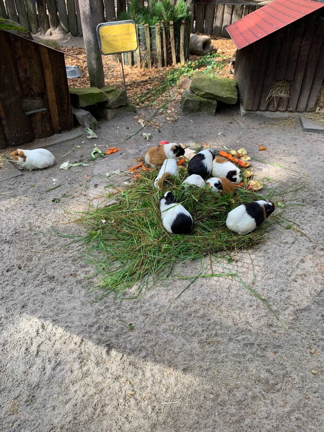 Tagesmutter, Tagesmutter Landauer Wichtelkiste, Kinderbetreuung, Betreuung, Kita, Babysitter, Kindertagespflege, Kleinkindbetreung, Landau